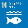 SDGs 14 海の豊かさを守ろう